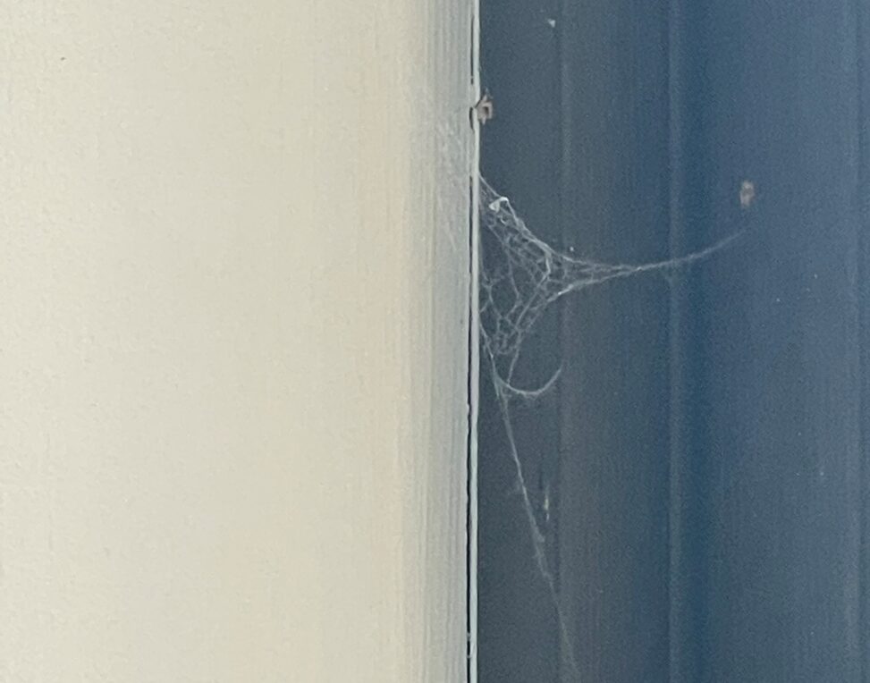 A photo of the spiderweb in my room when I first moved in