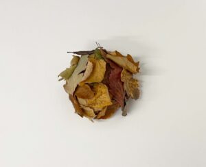 A ball-shaped cluster of dried leaves rests on a white surface. Leaves in yellow, brown, and reddish tones overlap tightly, with stems and curled edges visible.