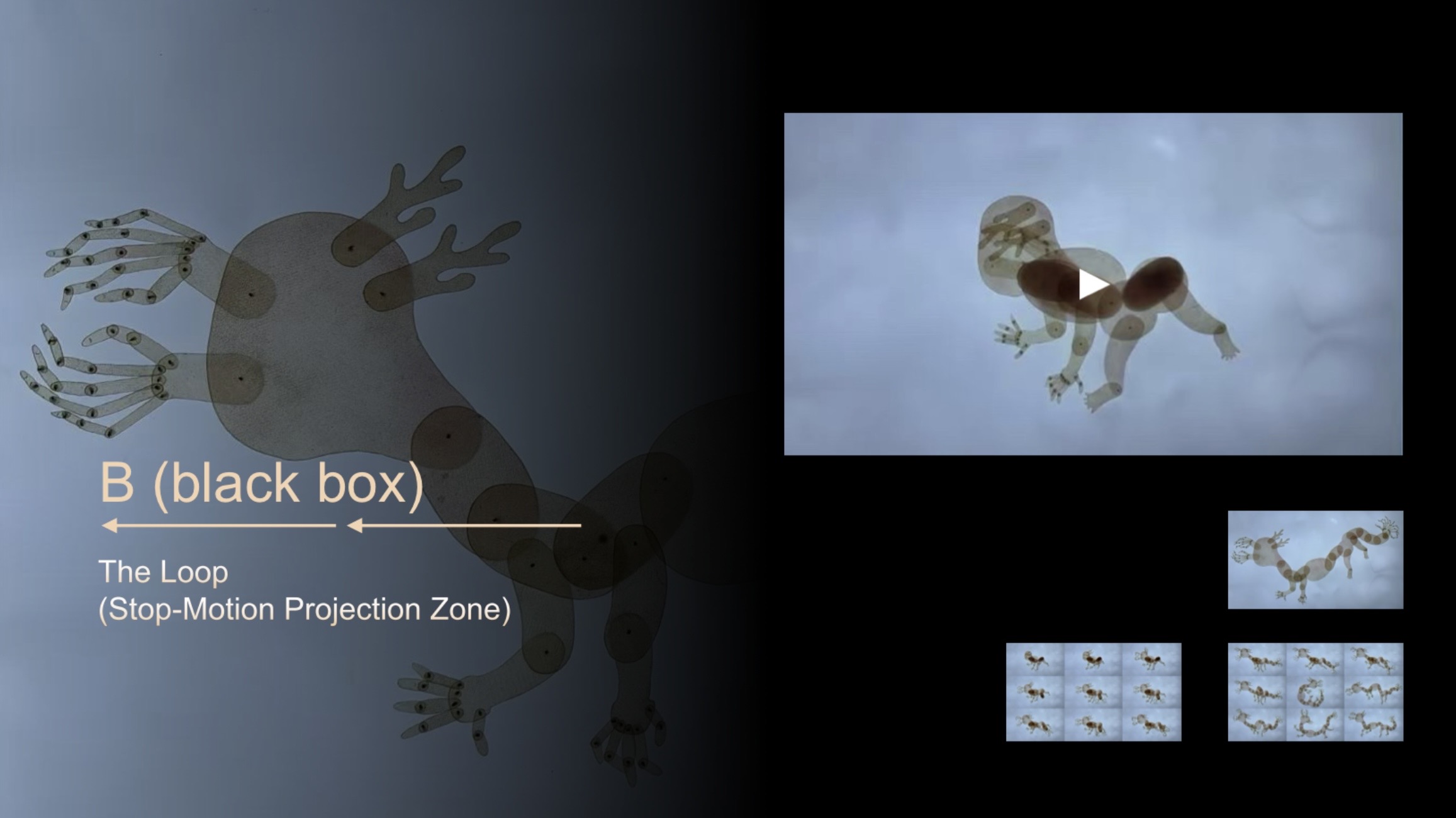 The design of Spot B