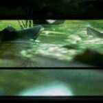 Installation view shows Jackie Karuti There Are Worlds Out There They Never Told You About 2016 Video, 3 minutes and 31 seconds Courtesy the artist