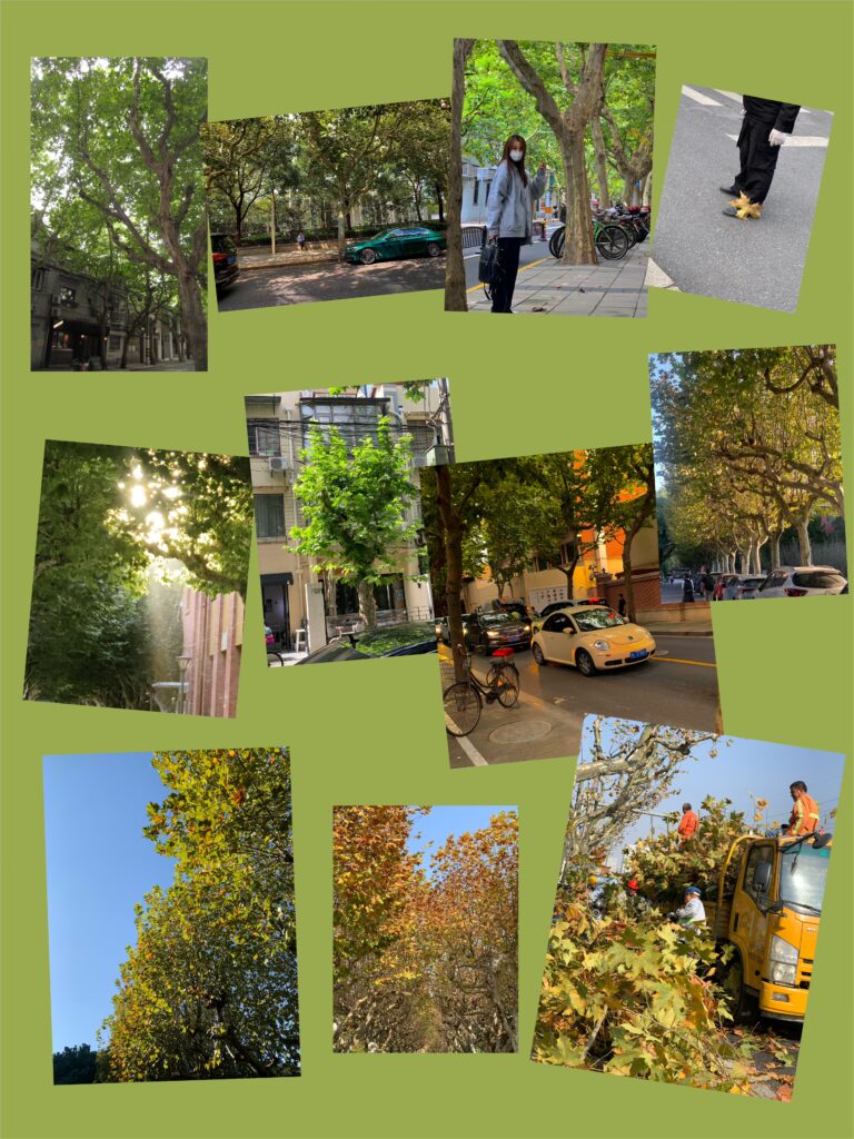 Fig.7 the example of the object that can evoke memories of member’s hometown
