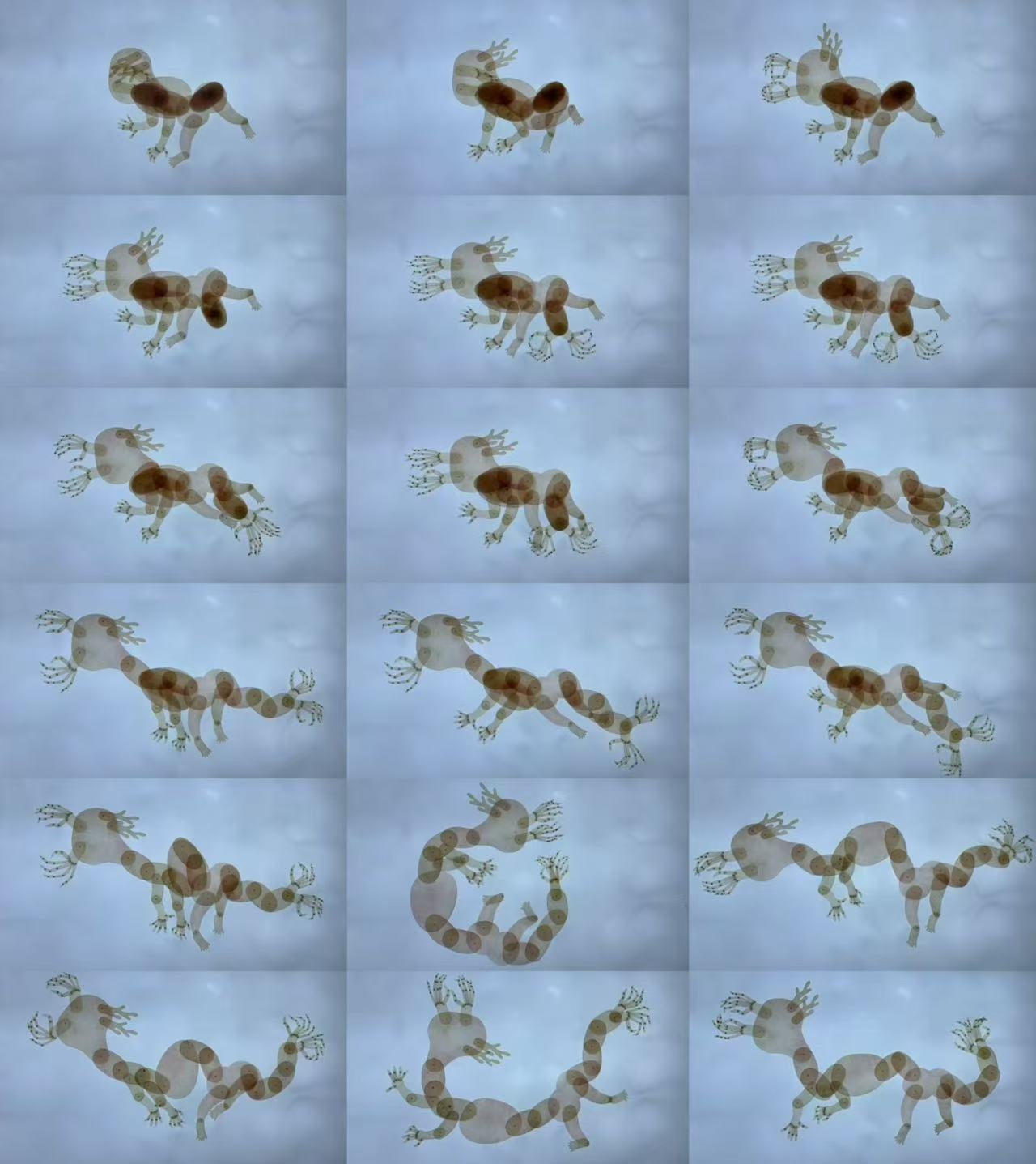 Eryao Wishing Your Child Becomes a Dragon (2024) Stop-motion animation (58-second loop)