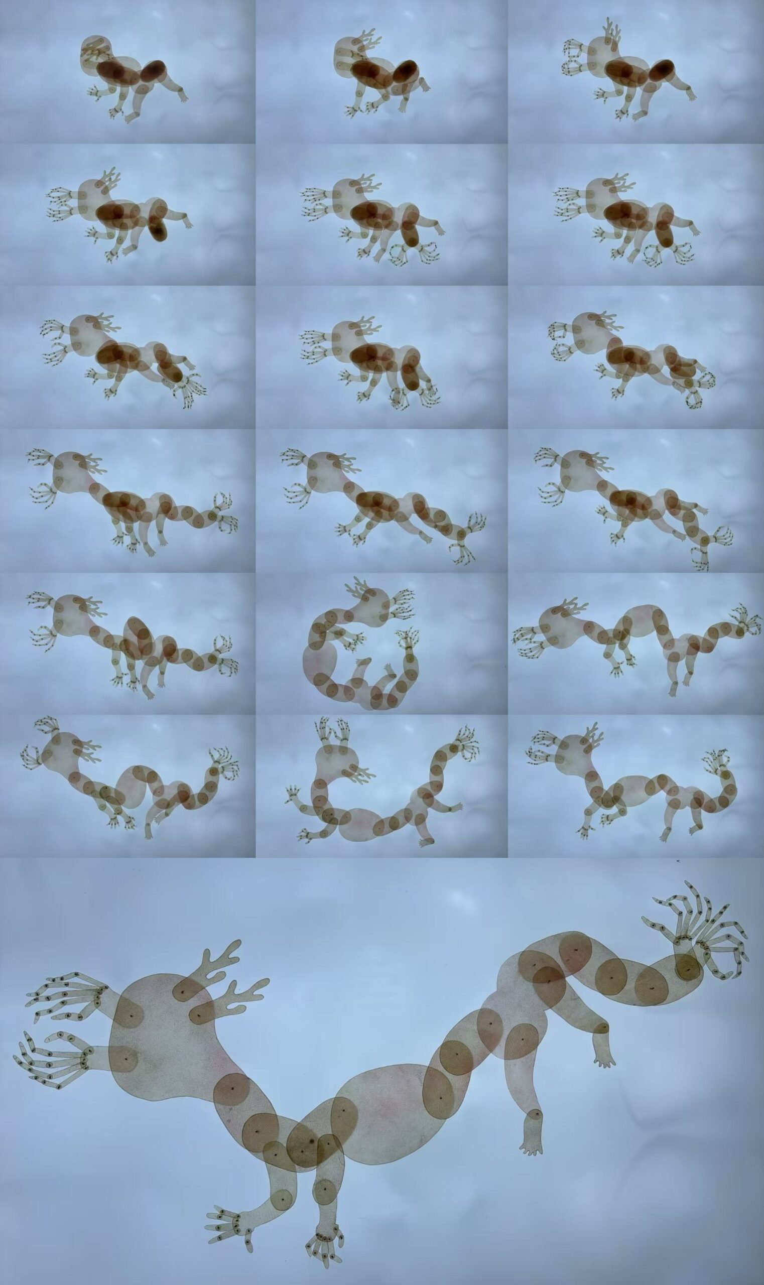 EryaoWishing Your Child Becomes a Dragon (2024)
Stop-motion animation (58-second loop)