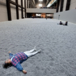 sunflower seeds This is a large-scale immersive art installation in the Turbine Hall of Tate Modern in London. The entire space is a towering, industrial-style building. The entire floor of the exhibition hall is covered with hundreds of millions of handcrafted porcelain sunflower seeds. A person wearing a blue and pink checkered sweater and white pants is lying spread-eagle on the seeds, and in the distance, two other people are sitting and relaxing on this surface.
