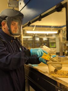 Animal technician cleans a mouse cage