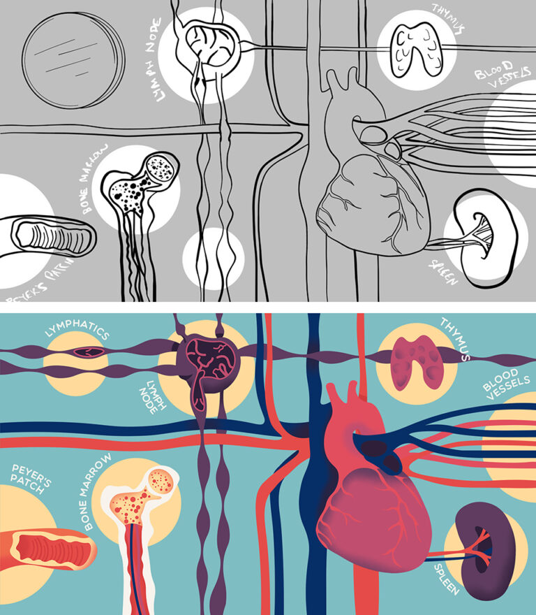 Immunity memory creating animations scope