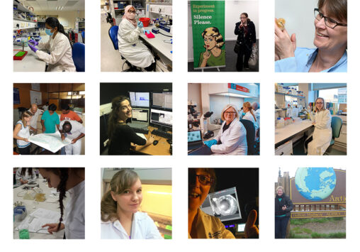A montage of 12 images of female researchers