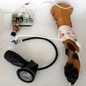 simulator equipment including wires and simulated animal leg wired for blood pressure test