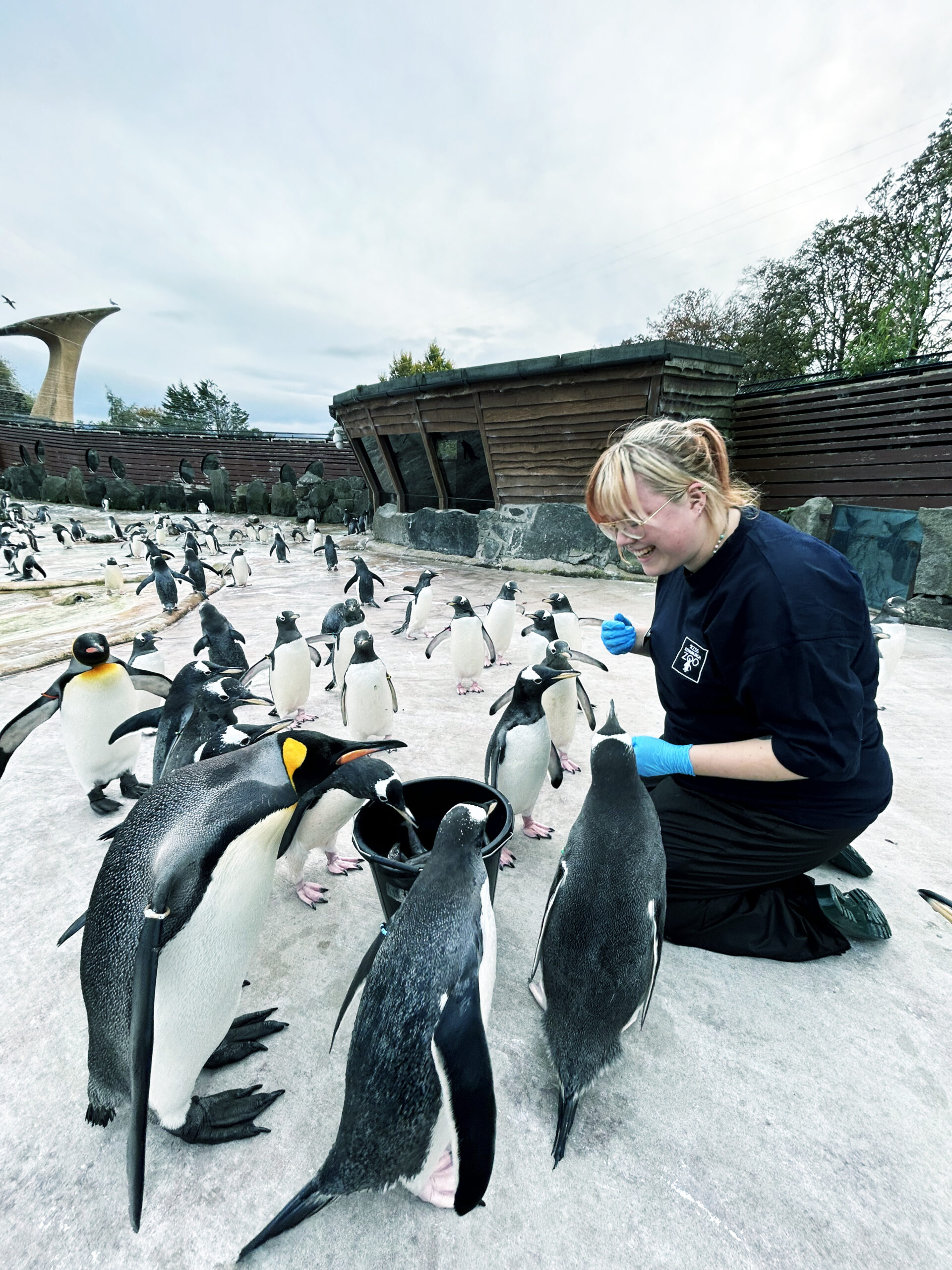Earth fellow Erin Flattley feeds some penguins