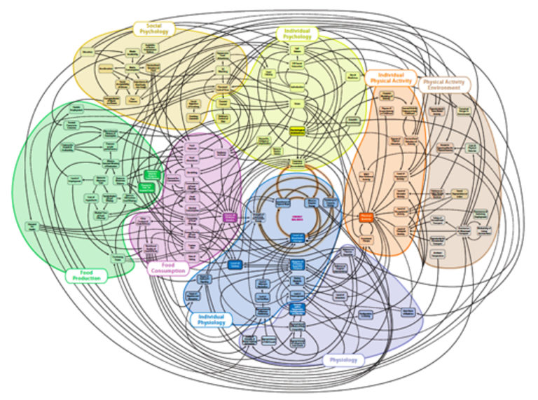 Obesity system map – SCPHRP