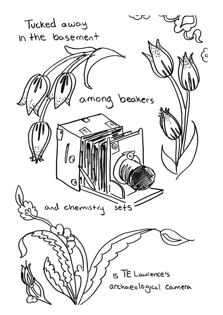 Illustration of Lawrence's archaeological camera surrounded by flowers