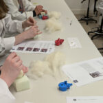 Three students sit in a row working on felting vertebrae. A bright red and a bright blue plastic vertebrae lie on the table in front of them beside printed instructions.