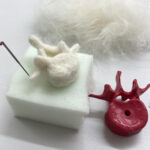 A felt vertebrae with its model.