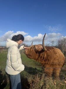 Corrie petting a Highland Cow