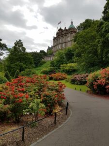Colourful rhododendrons beside a scenic pathway in Princes Streat gardens East.