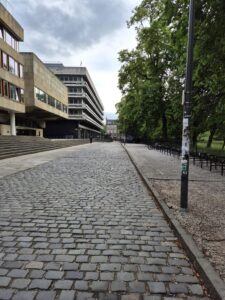 A view across George Square to the Main Library. There are stone setts on the roadway and green trees.