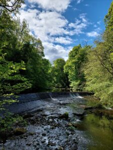 A picturesque river winds through a green forest, flanked by trees, with clear water sparkling under the sunlight.
