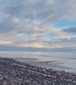 A scenic beach featuring smooth rocks and gentle waves lapping at the shore under a clear blue sky.