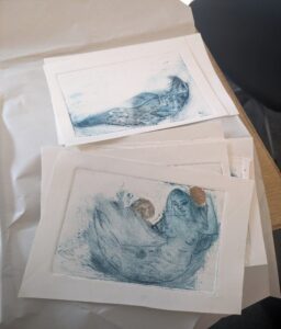 Blue ink prints depicting a seal and another a mermaid on sheets of paper.