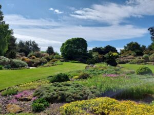 A vibrant garden filled with a variety of colorful flowers and lush green trees under a clear blue sky.