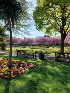 A scenic park showcasing an abundance of trees and blooming flowers, offering a peaceful retreat in nature.