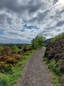 A hillside path meanders through greenery beneath a cloudy sky, highlighting the serene outdoor environment.