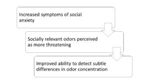 Increased symptoms of social anxiety > Socially relevant odors perceived as more threatening > Improved ability to detect subtle differences in odor concentration