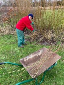 Sharon helping with the willow