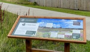 Wild Easter Bush Signage on Campus (Trim Trail)