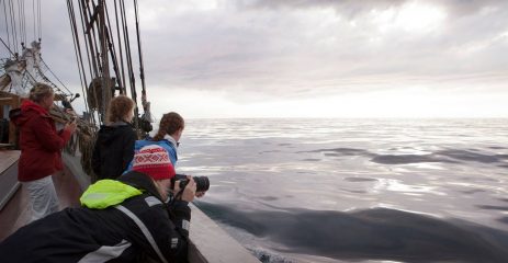 Sail-training and intercultural learning: Voices from the sea