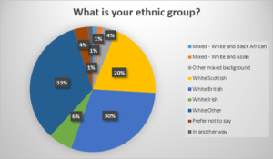 Survey results pie chart