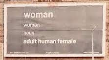 Adult Human Female Billboard