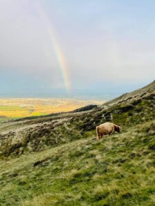 Photo of the Pentlands