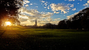 A photo of the Meadows at sunrise!