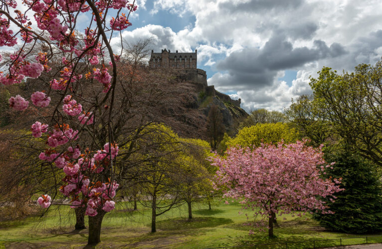 Worried about the weather? Here’s where to find Spring in Edinburgh