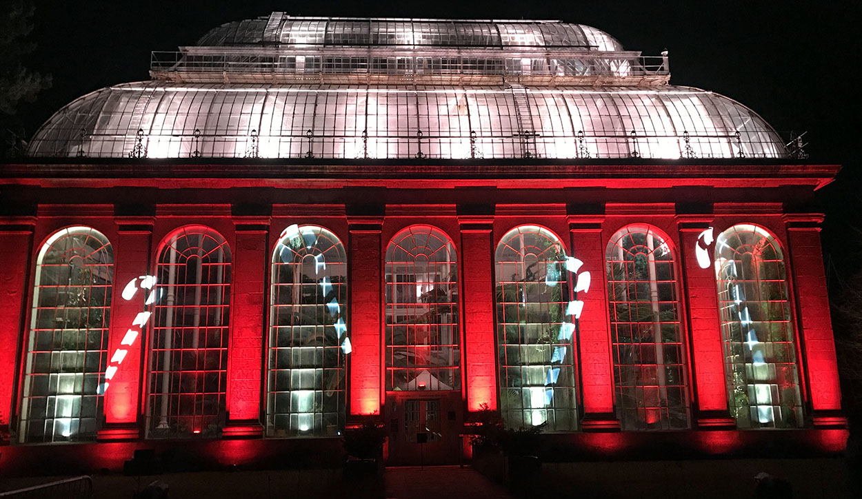 Light show on the glasshouse at the Royal Botanic Gardens