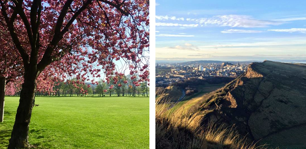 The Meadows blossom and view from Arthur's Seat