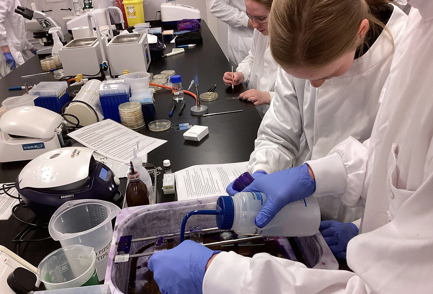 Students in a Biological Science lab