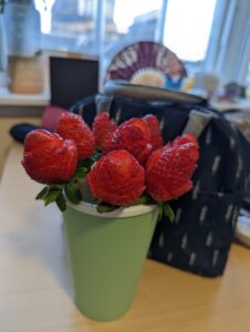 Jena's strawberry roses