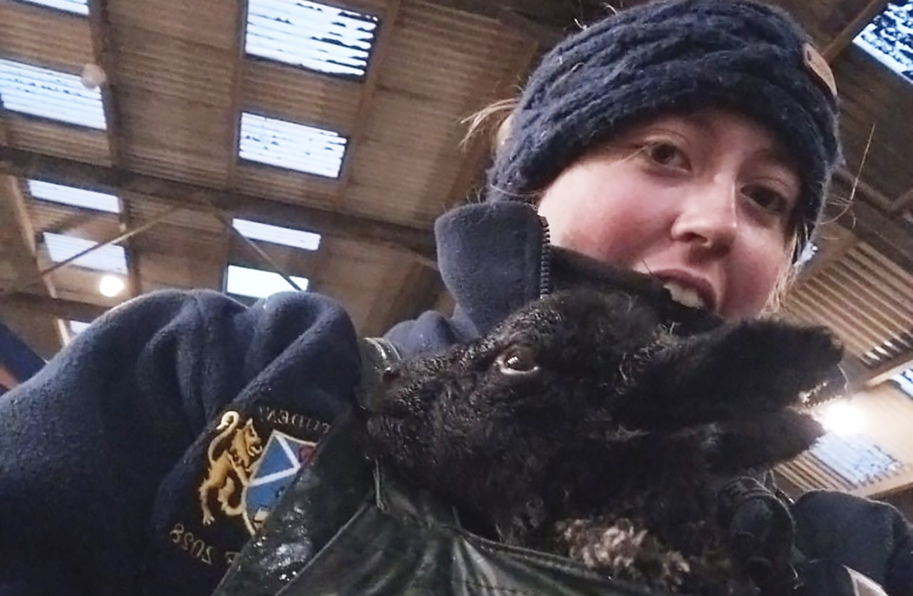 Student carrying a small black lamb.