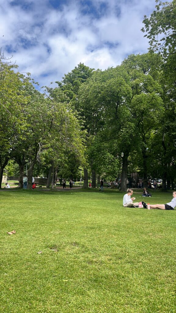 the meadows in central Edinburgh