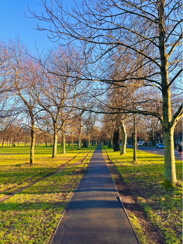 meadows in Edinburgh
