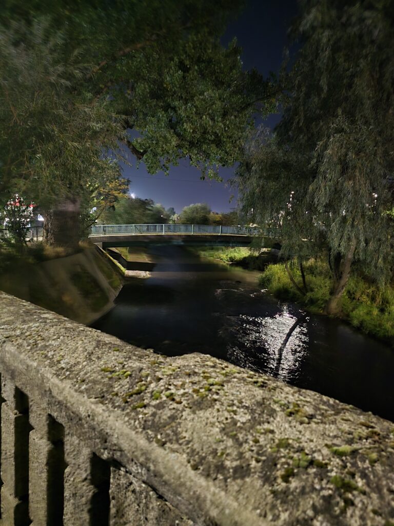 A view of a park from a bridge