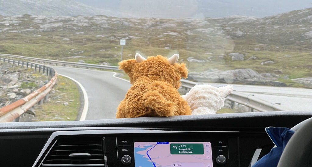 A Highland cow teddy looking out of the windscreen of a van