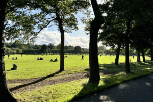 A view walking through the Meadows.
