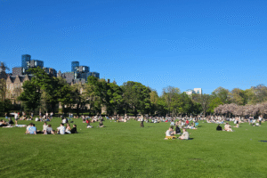 People sitting on the grass at The Meadows on a sunny day.