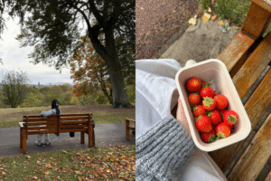 A person sitting on a bench in a park; a punnet of strawberries.