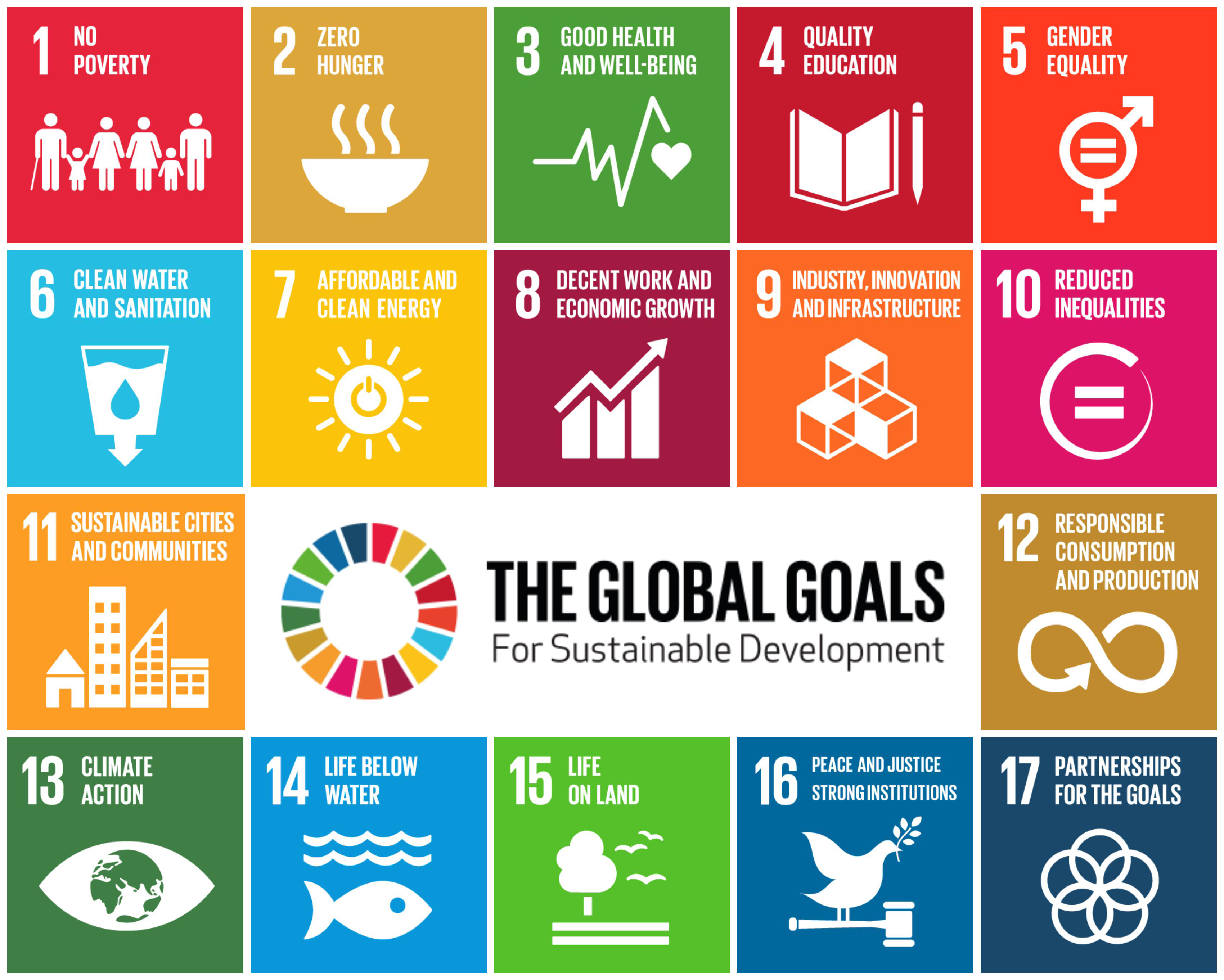 The Sustainable Development Goals a lens for Social Responsibility