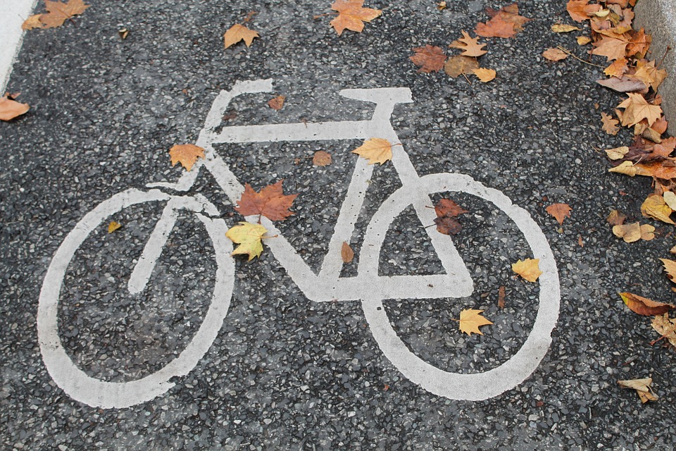 Cycle path with Autumn leaves