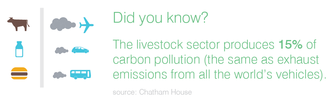 greenhouse gas infographic